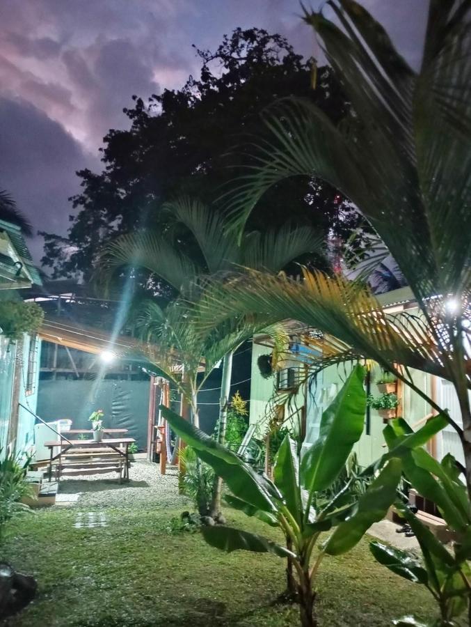 Hotel Container House Cahuita Exteriér fotografie